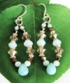 Summer's Tear Earrings