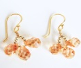 India's Gold Earrings