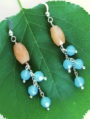 Cantaloupe Splash Earrings