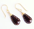 Rodeo Earrings